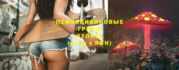 дурь Краснотурьинск