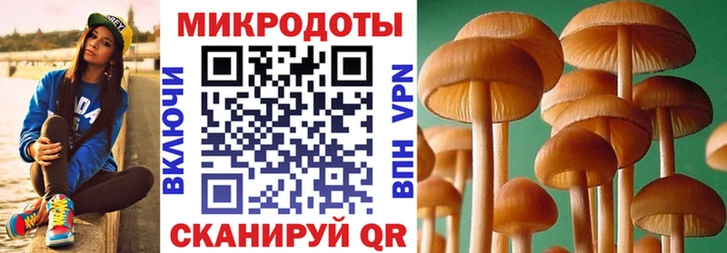 что такое наркотик  Славск  Галлюциногенные грибы Magic Shrooms 